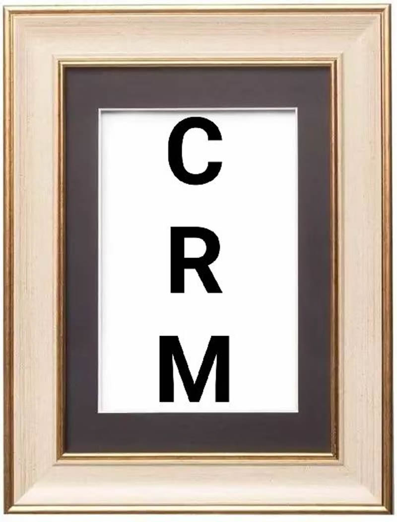 CRM實(shí)施人員的主要任務(wù)